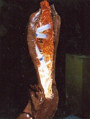 Innenleben des Torsos 